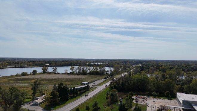 Roads and trees