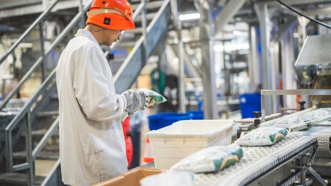 factory worker examining product