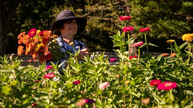 lady wearing sun hat picking flowers