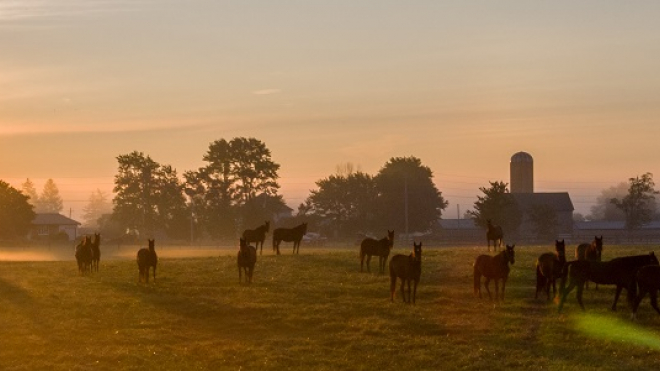 sunset with people riding horses 