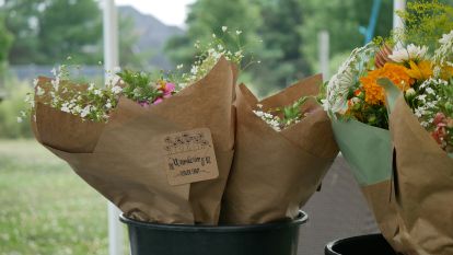 Flower packed