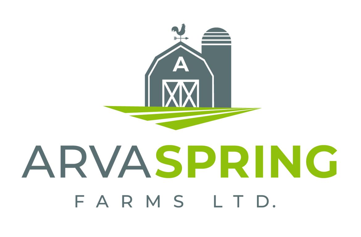 Arva Spring Logo