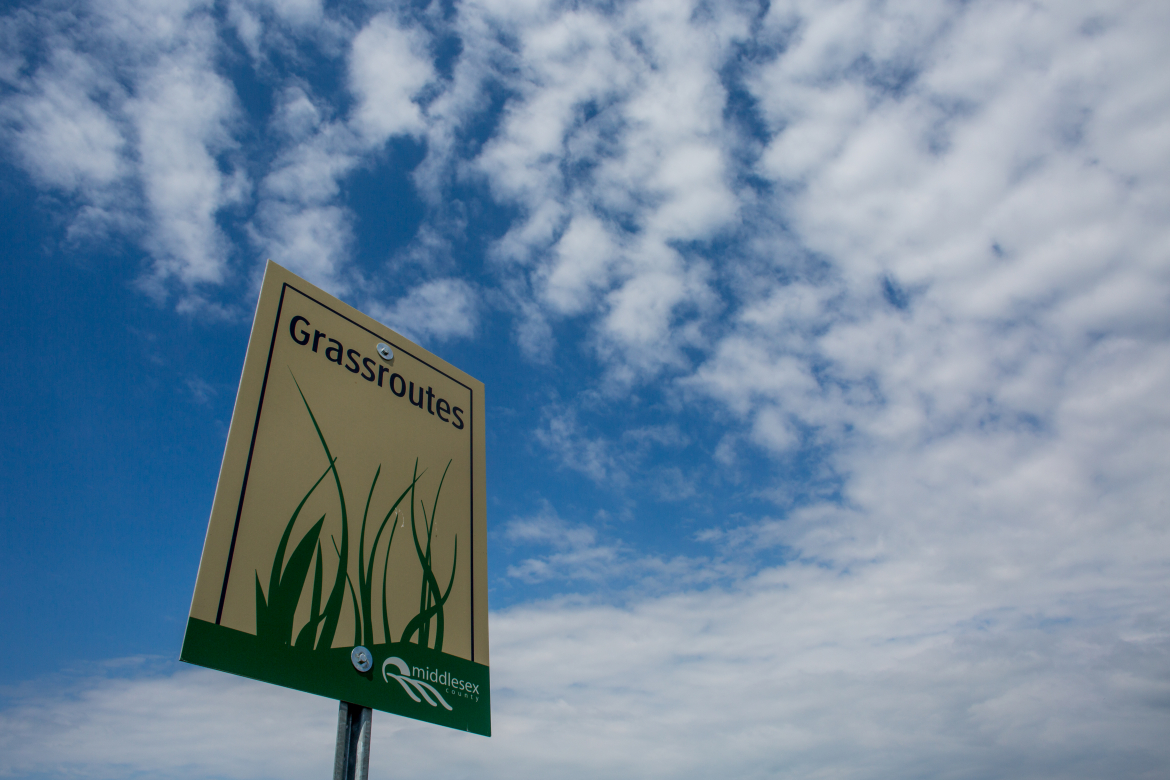 grassroutes