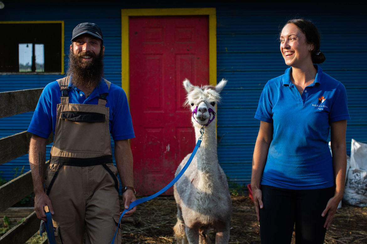 Man and woman with an alpaca