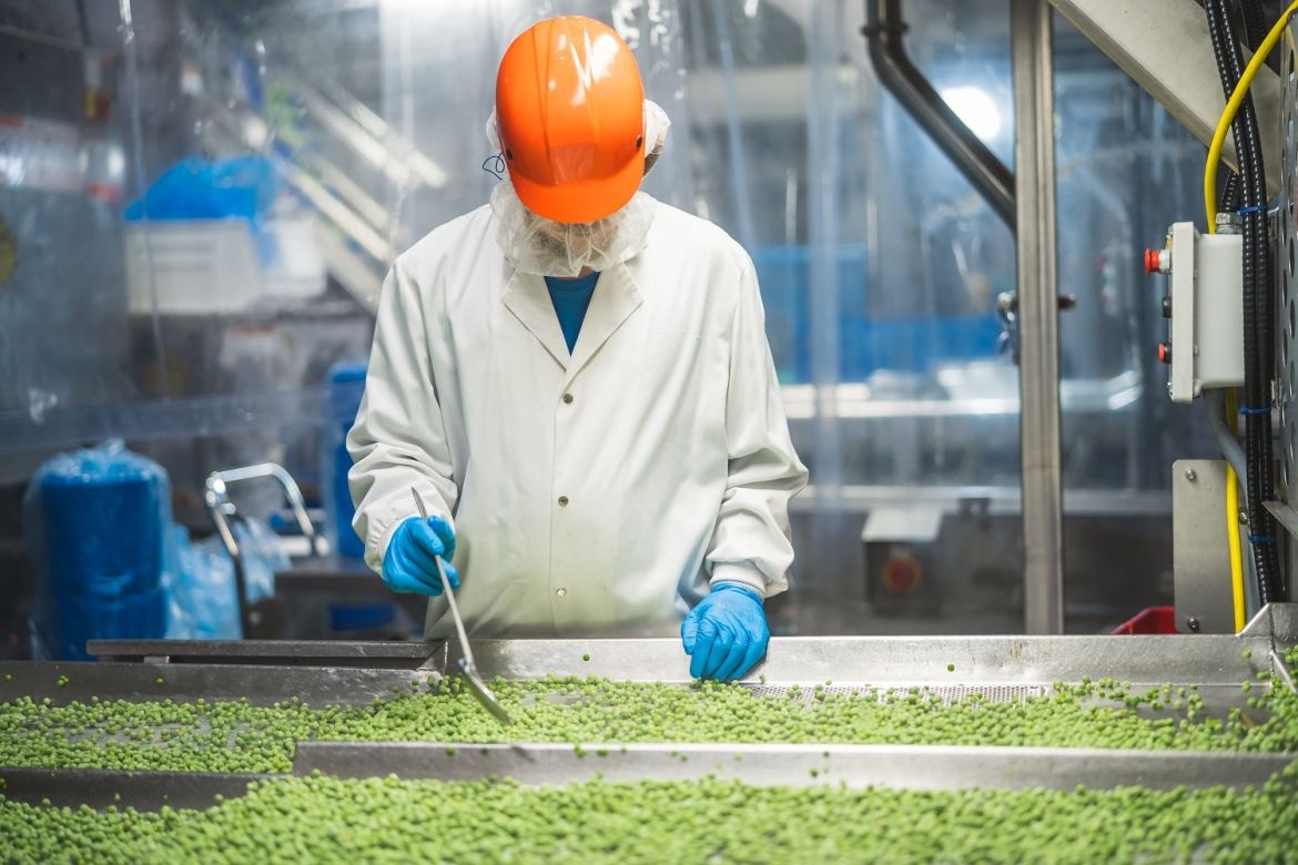 Man sorting peas