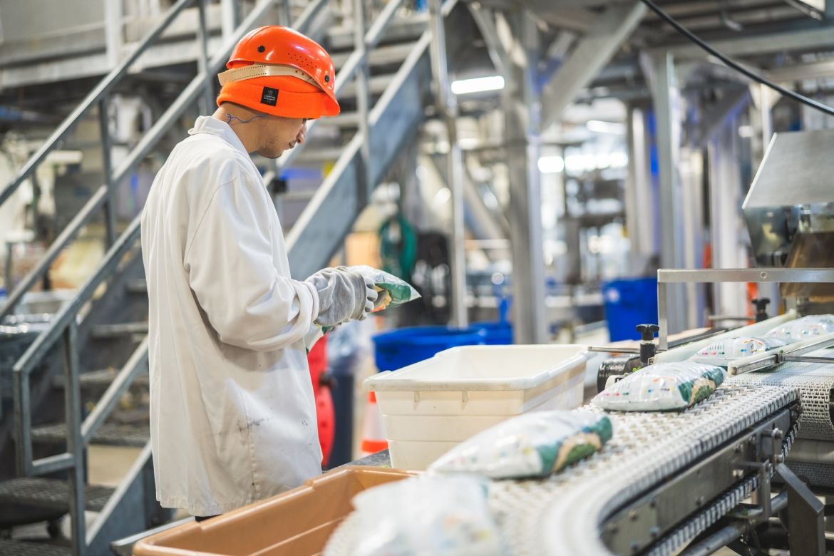 factory worker examining product